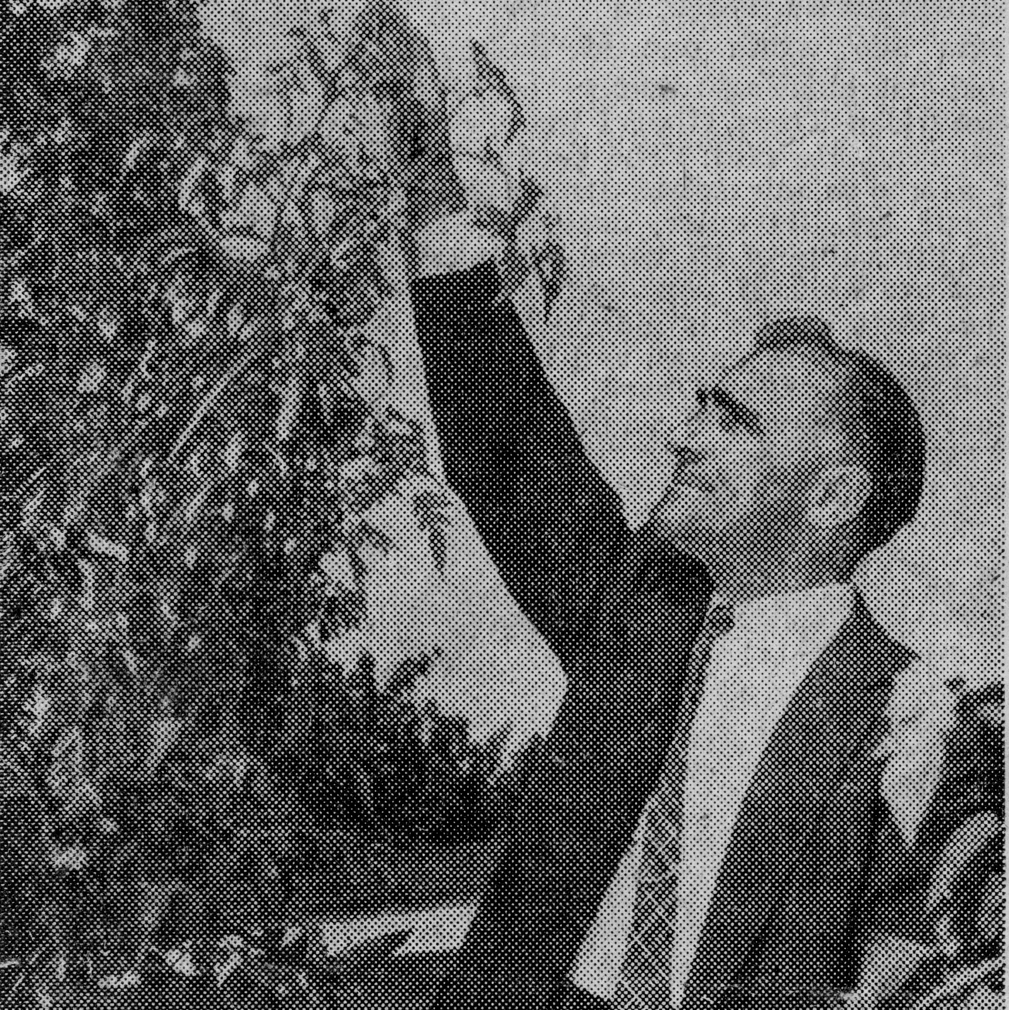 Thumb_Joe's Giant Tomato Plants, 9-5-57-Edit.jpg